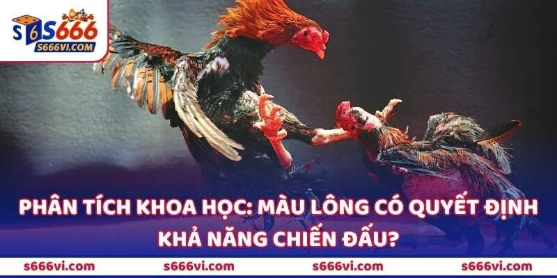 Phân tích khoa học: Màu lông có quyết định khả năng chiến đấu?